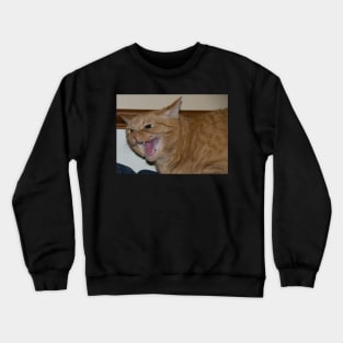 Psychosis Crewneck Sweatshirt